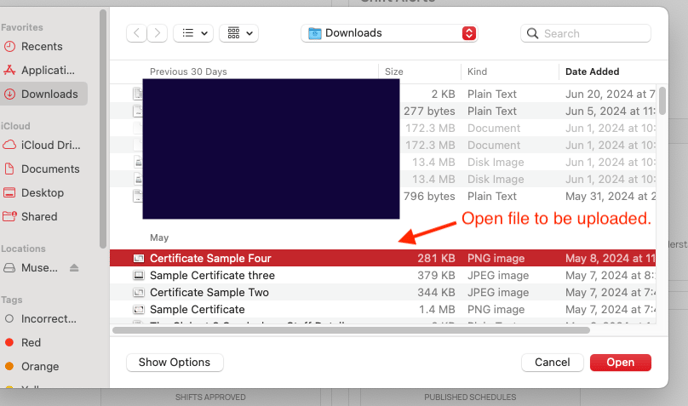 Choose File for Chat