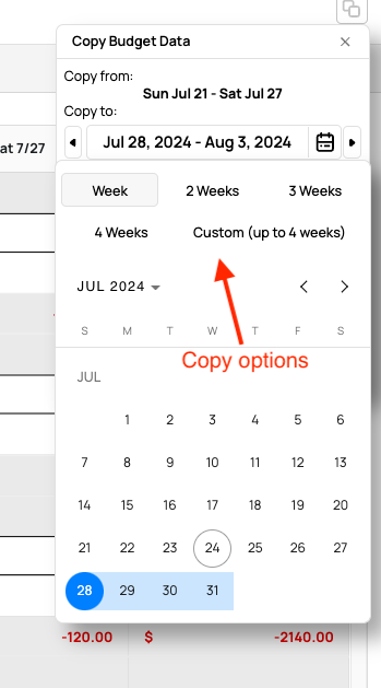 copy options in budget planner
