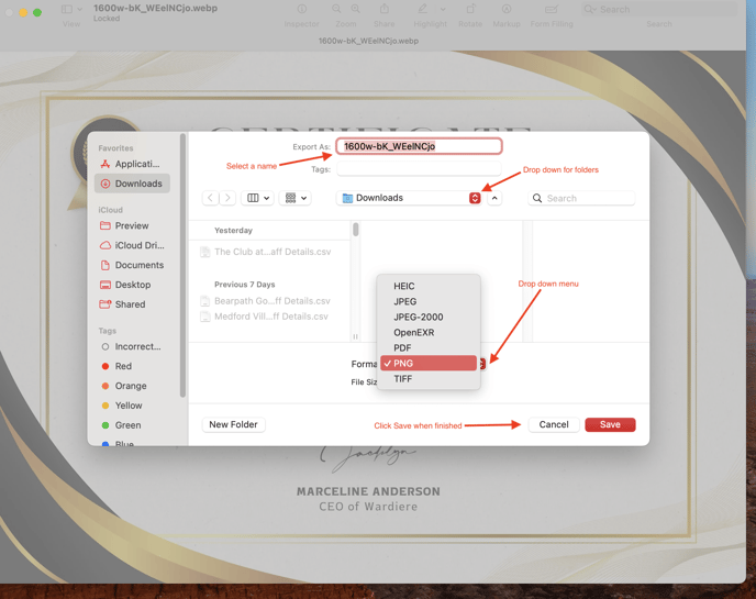 saving as jpeg or png and other formats